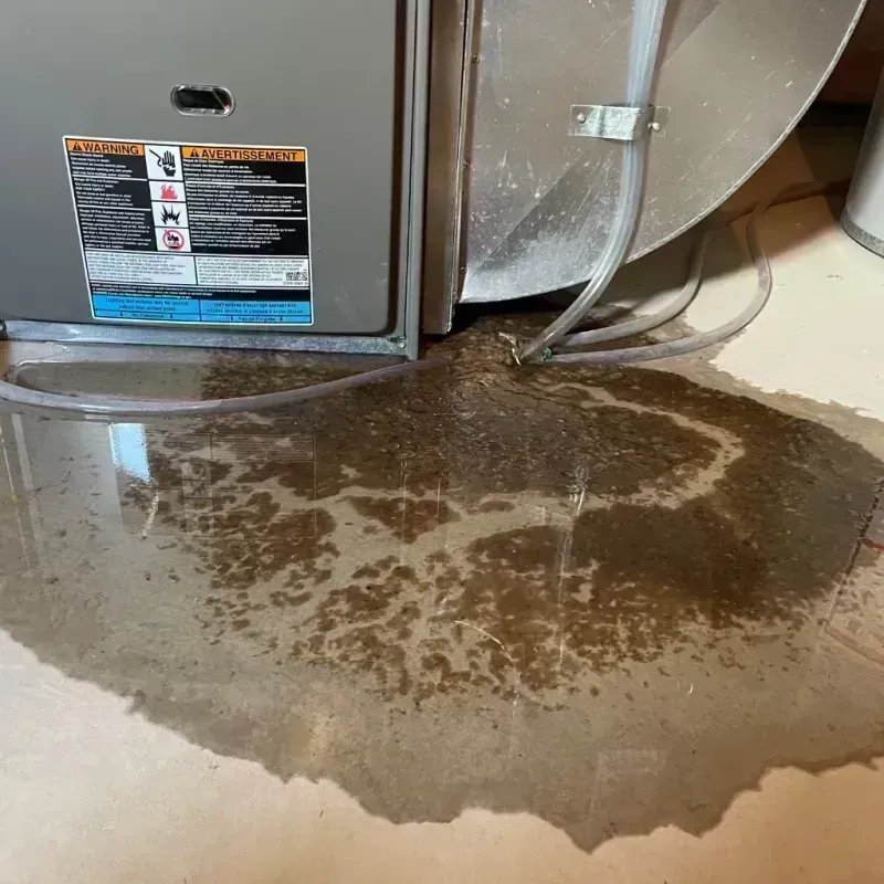 Appliance Leak Cleanup in Rockledge, FL